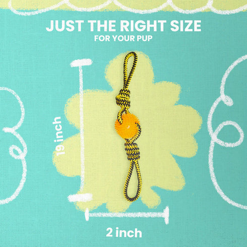 Snugarooz Spikey Baby Dog Toy - Assorted Colors