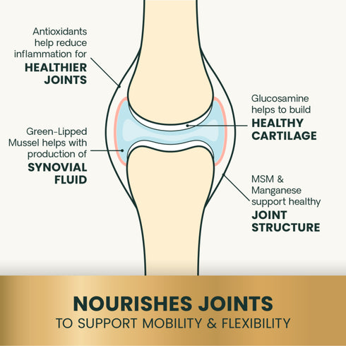 Vertiscience Ultimate Strength Healthy Hip & Joint Supplement For Dogs - Chews - 45 Count