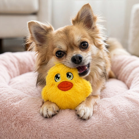Kong Snuzzles Mini Duck Plush Dog Toy - X-Small