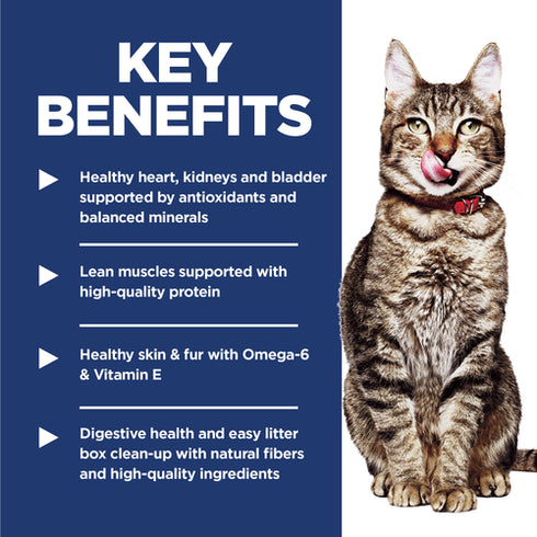 Hill's Science Diet Adult 7+ Indoor Dry Cat Food - Chicken - 7lb Bag