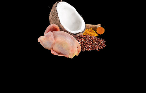 Farmina N&D Functional Skin & Coat Wet Cat Food - Quail & Coconut - 2.8oz Can