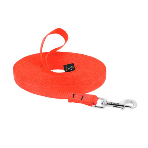 Lupine Training Dog Leash - 3/4' x 15' - Orange