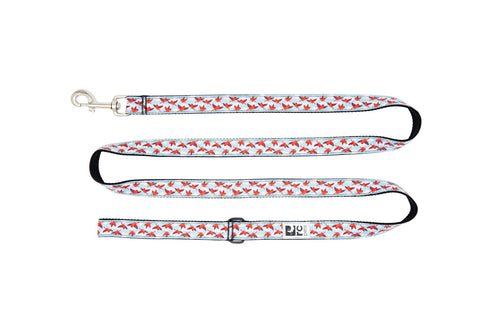 RC Pets Dog Leash - 1" x 6' - In The Clouds