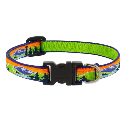 Lupine Pet Adjustable Dog Collar - 1" x 16-28" - High Country