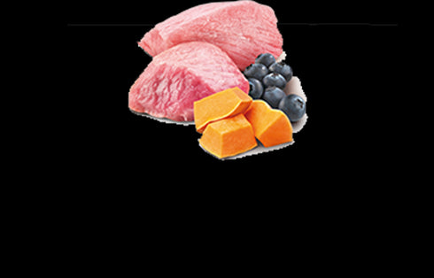 Farmina N&D Pumpkin Puppy Wet Dog Food - Lamb, Pumpkin, & Blueberry - 10oz Can