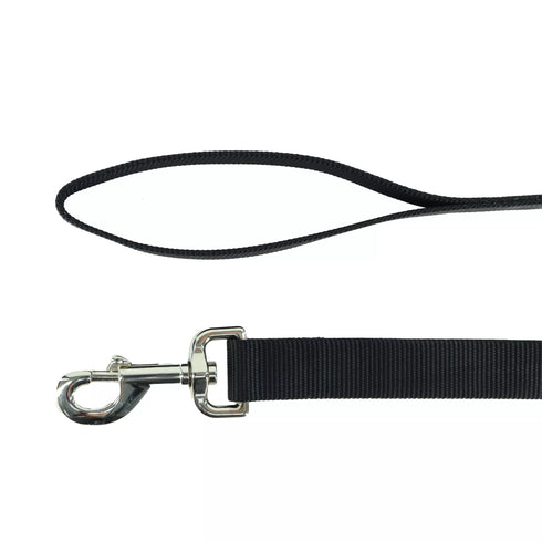 Coastal Single Ply Dog Leash - 4' - Teal