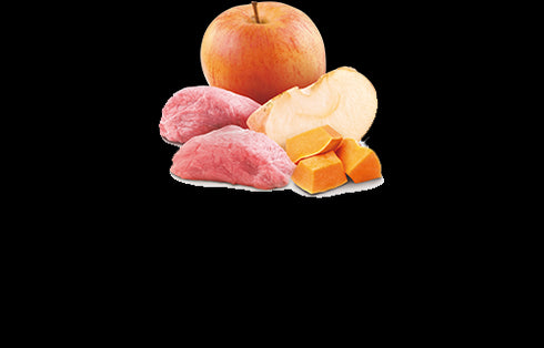 Farmina N&D Pumpkin Wet Dog Food - Boar, Pumpkin, & Apple - 10oz Can