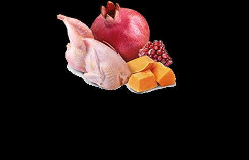 Farmina N&D Pumpkin Wet Dog Food - Quail & Pumpkin - 10oz Can