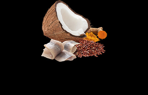 Farmina N&D Functional Skin & Coat Wet Dog Food - Herring & Coconut - 10oz Can