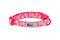 RC Pets Kitty Breakaway Cat Collar - One Size 8-10" - Lil Heart