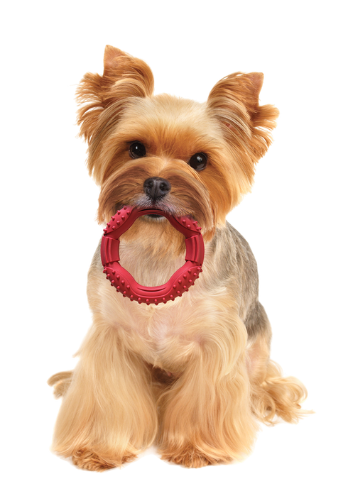 Spot Barrett Tough Ring Dog Toy - 5"