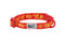RC Pets Kitty Breakaway Cat Collar - One Size 8-10" - Fortune