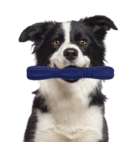Spot Barrett Tough Retriever Dog Toy - 9.5"