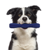 Spot Barrett Tough Retriever Dog Toy - 9.5"