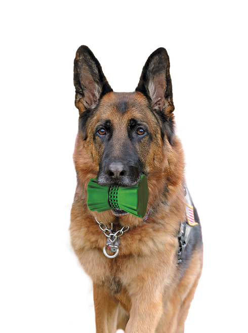 Spot Barrett Tough Tumbler Dog Toy - 4"