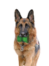 Spot Barrett Tough Tumbler Dog Toy - 4"