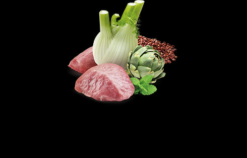 Farmina N&D Functional Digestion Dog Wet Food - Lamb & Herring - 10oz Can