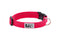 RC Pets Primary Dog Collar - M 1" - Azalea
