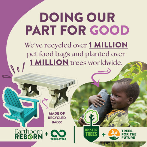 Earthborn Holistic Ancient Grains Dry Dog Food - Unrefined Roasted Lamb - 4lb Bag