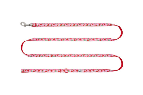 RC Pet Dog Leash - 3/4" x 6' - Strawberry