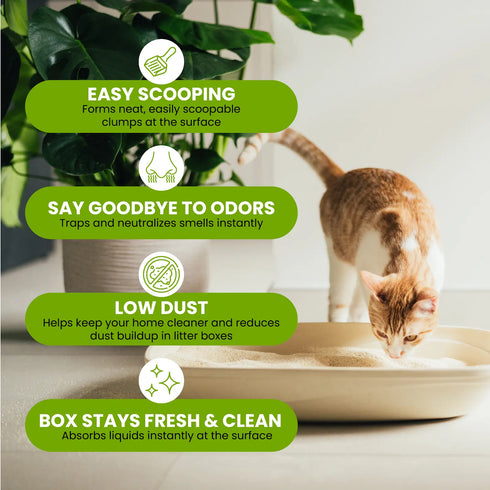 Almo Nature 100% Plant-Based Biodegradable Clumping Cat Litter - 5lb Bag