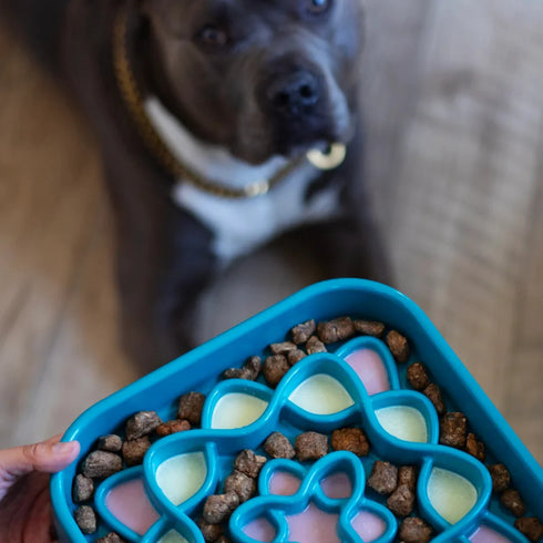 Messy Mutts Slow Feeder Square Dog Bowl - Blue - 8 Cup Capacity