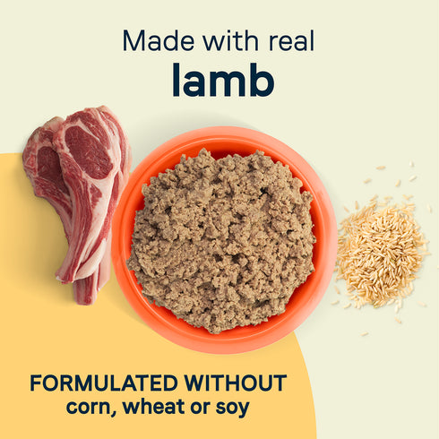 Canidae All Life Stages Wet Dog Food - Lamb & Rice - 13oz Can