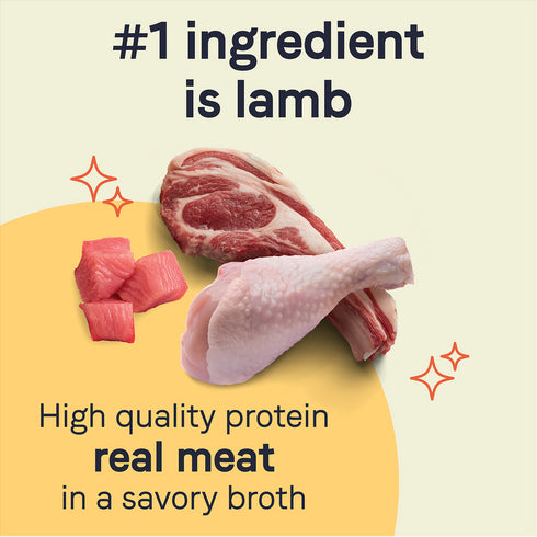 Canidae Pure Grain Free Wet Dog Food - Lamb, Turkey, & Chicken - 13oz Can