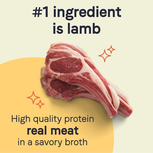 Canidae Pure Grain Free Wet Dog Food - Lamb - 13oz Can