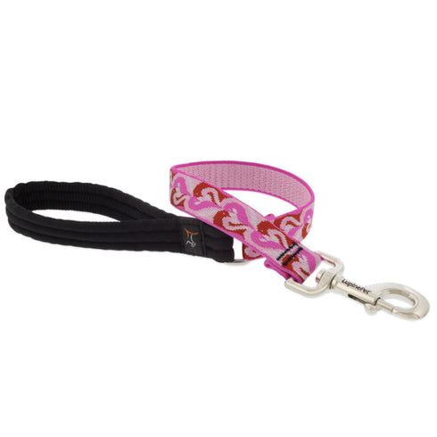Lupine Dog Leash - 3/4" x 4' - Lovebirds