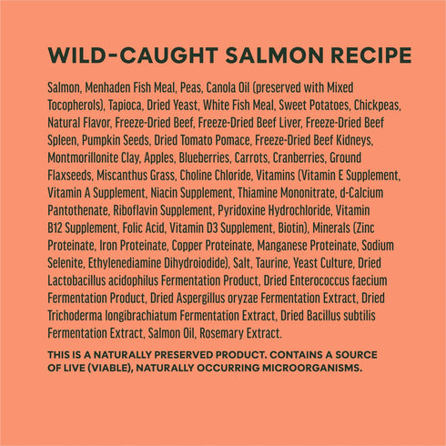 Instinct RawBoost Grain Free Dry Dog Food - Salmon - 19lb Bag