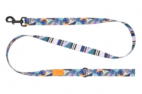 RC Pet Eco Dog Leash - 3/4" x 5' - Mystic Monstera