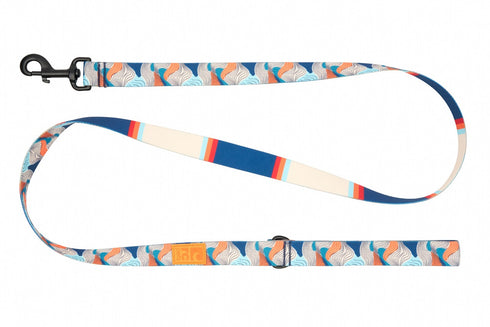 RC Pet Eco Dog Leash - 3/4" x 5' - Ripetide