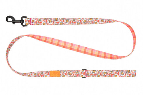 RC Pet Eco Dog Leash - 3/4" x 5' - Daisy Joy