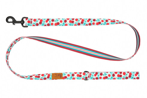 RC Pet Eco Dog Leash - 3/4' x 5' - Cherry Picnic