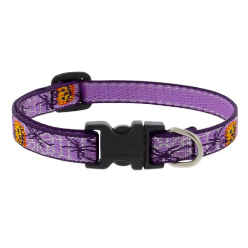 Lupine Adjustable Dog Collar - 3/4" x 9-14" - Trick Or Treat