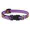 Lupine Adjustable Dog Collar - 3/4" x 9-14" - Trick Or Treat