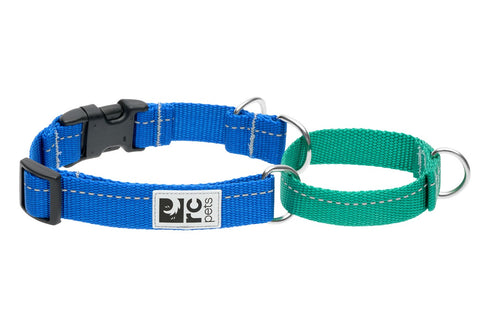 RC Pets Primary Web Training Clip Dog Collar - M - Sapphire & Parakeet