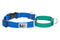 RC Pets Primary Web Training Clip Dog Collar - M - Sapphire & Parakeet