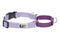 RC Pets Primary Web Training Clip Dog Collar - M - Lilac & Purple
