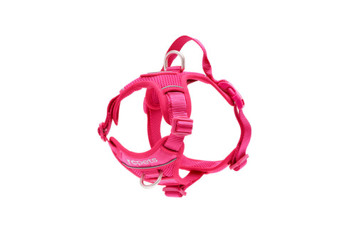 RC Pets Momentum Control Dog Harness - Medium 20-28" - Azalea