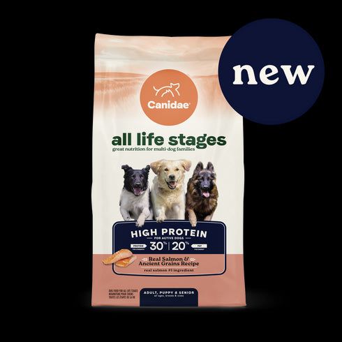 Canidae All Life Stages High Protein Dry Dog Food - Salmon & Ancient Grains - 4lb Bag