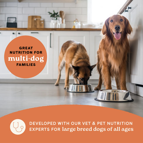 Canidae All Life Stages Large Breed Dry Dog Food - Multi-Protein - 40lb Bag