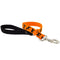 Lupine Dog Leash - 1" x 4' - Big Game