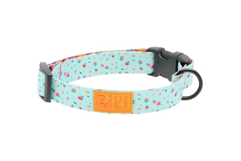 RC Pet Eco Dog Collar - Medium 1" x 12-20" - Dainty Mint