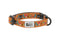 RC Pets Kitty Breakaway Collar - Forager