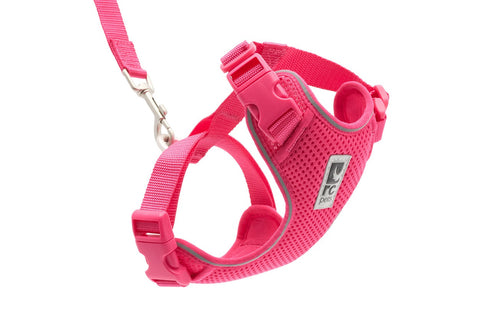 RC Pets Adventure Kitty Harness - Medium - Azalea