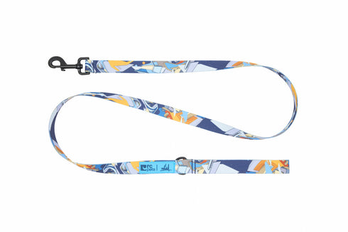 RC Pets Dog Leash - 3/4" x 5' - Daim