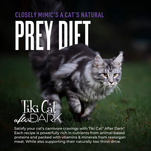 Tiki Cat After Dark Soft Pate Wet Cat Food - Rabbit & Chicken Liver - 3oz Can