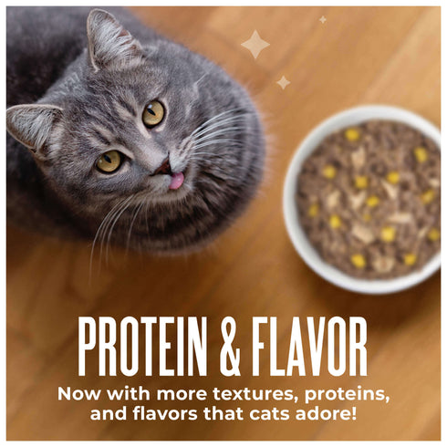 Tiki Cat Friends Minced Wet Cat Food - Tuna & Pumpkin - 2.8oz Can